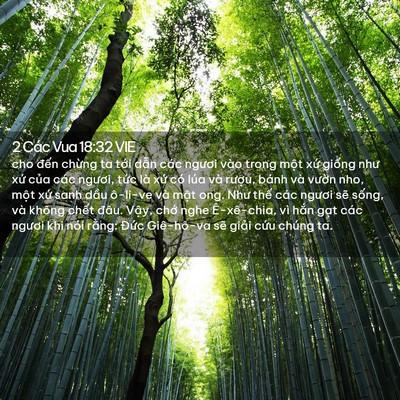 Picture 02 - 2 Các Vua 18:32 VIE - cho đến chừng ta tới dẫn các ngươi - Bible Verse Picture