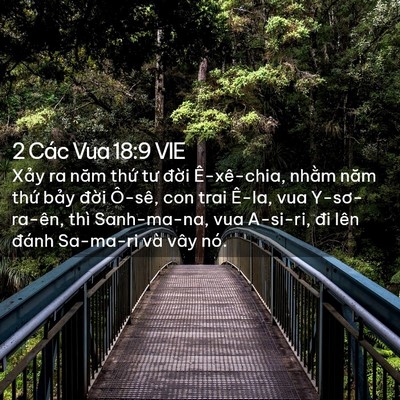 Picture 02 - 2 Các Vua 18:9 VIE - Xảy ra năm thứ tư đời Ê-xê-chia, - Bible Verse Picture