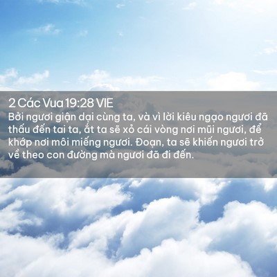 Picture 02 - 2 Các Vua 19:28 VIE - Bởi ngươi giận dại cùng ta, và vì - Bible Verse Picture