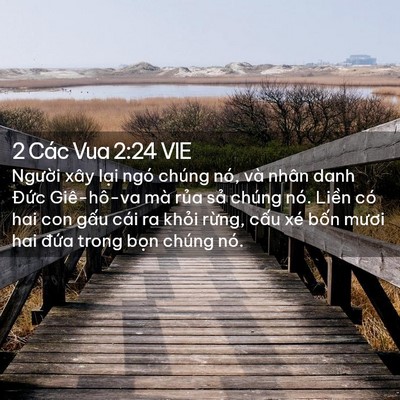 Picture 02 - 2 Các Vua 2:24 VIE - Người xây lại ngó chúng nó, và nhân - Bible Verse Picture