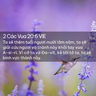 Picture 02 - 2 Các Vua 20:6 VIE - Ta sẽ thêm tuổi ngươi mười lăm năm, - Bible Verse Picture