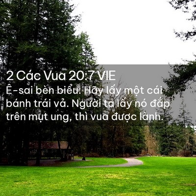 Picture 02 - 2 Các Vua 20:7 VIE - Ê-sai bèn biểu: Hãy lấy một cái bánh - Bible Verse Picture