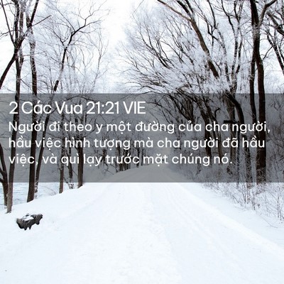 Picture 02 - 2 Các Vua 21:21 VIE - Người đi theo y một đường của cha - Bible Verse Picture