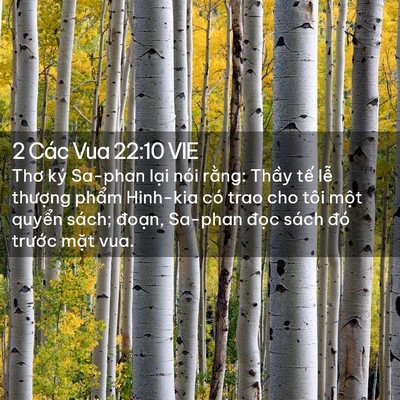 Picture 02 - 2 Các Vua 22:10 VIE - Thơ ký Sa-phan lại nói rằng: Thầy tế - Bible Verse Picture