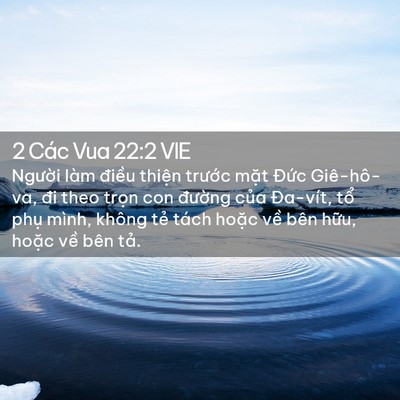 Picture 02 - 2 Các Vua 22:2 VIE - Người làm điều thiện trước mặt - Bible Verse Picture