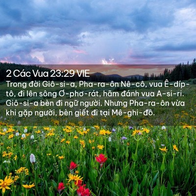 Picture 02 - 2 Các Vua 23:29 VIE - Trong đời Giô-si-a, Pha-ra-ôn Nê-cô, vua - Bible Verse Picture