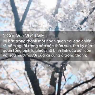 Picture 02 - 2 Các Vua 25:19 VIE - lại bắt trong thành một hoạn quan coi - Bible Verse Picture