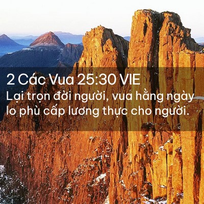 Picture 02 - 2 Các Vua 25:30 VIE - Lại trọn đời người, vua hằng ngày lo - Bible Verse Picture