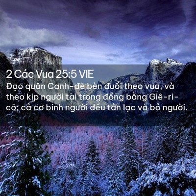 Picture 02 - 2 Các Vua 25:5 VIE - Đạo quân Canh-đê bèn đuổi theo vua, và - Bible Verse Picture