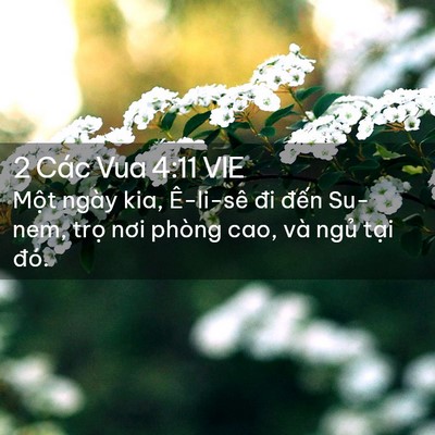 Picture 02 - 2 Các Vua 4:11 VIE - Một ngày kia, Ê-li-sê đi đến Su-nem, - Bible Verse Picture
