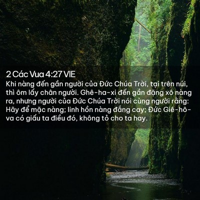 Picture 02 - 2 Các Vua 4:27 VIE - Khi nàng đến gần người của Đức - Bible Verse Picture