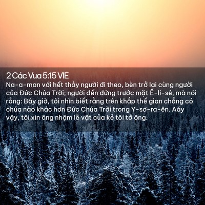 Picture 02 - 2 Các Vua 5:15 VIE - Na-a-man với hết thảy người đi theo, - Bible Verse Picture