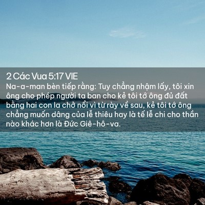 Picture 02 - 2 Các Vua 5:17 VIE - Na-a-man bèn tiếp rằng: Tuy chẳng nhậm - Bible Verse Picture