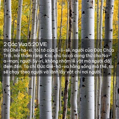 Picture 02 - 2 Các Vua 5:20 VIE - thì Ghê-ha-xi, tôi tớ của Ê-li-sê, - Bible Verse Picture