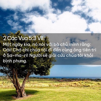 Picture 02 - 2 Các Vua 5:3 VIE - Một ngày kia, nó nói với bà chủ mình - Bible Verse Picture