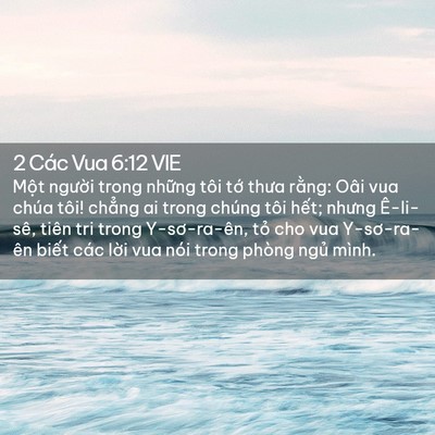 Picture 02 - 2 Các Vua 6:12 VIE - Một người trong những tôi tớ thưa - Bible Verse Picture