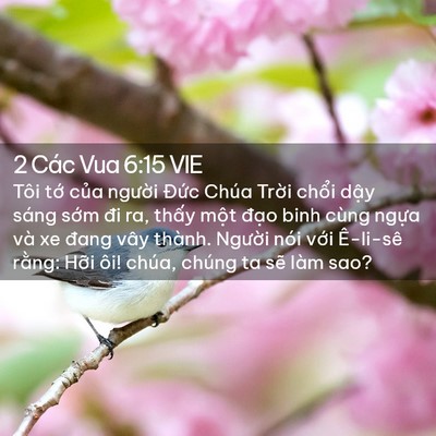 Picture 02 - 2 Các Vua 6:15 VIE - Tôi tớ của người Đức Chúa Trời - Bible Verse Picture