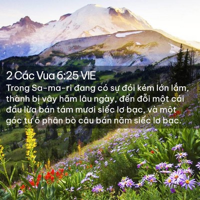 Picture 02 - 2 Các Vua 6:25 VIE - Trong Sa-ma-ri đang có sự đói kém lớn - Bible Verse Picture