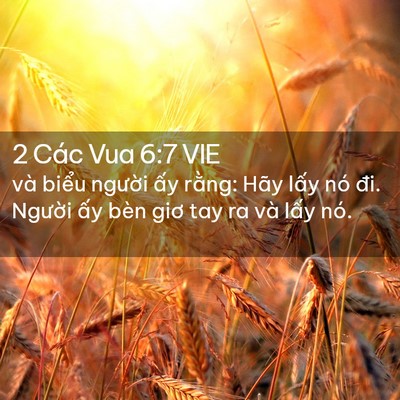 Picture 02 - 2 Các Vua 6:7 VIE - và biểu người ấy rằng: Hãy lấy nó - Bible Verse Picture