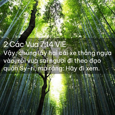 Picture 02 - 2 Các Vua 7:14 VIE - Vậy, chúng lấy hai cái xe thắng ngựa - Bible Verse Picture