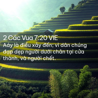 Picture 02 - 2 Các Vua 7:20 VIE - Aáy là điều xảy đến; vì dân chúng - Bible Verse Picture