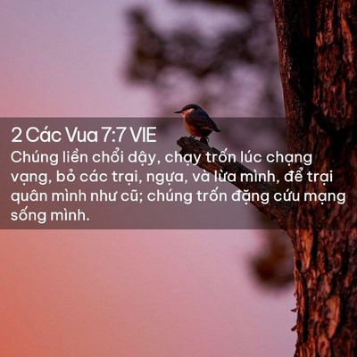 Picture 02 - 2 Các Vua 7:7 VIE - Chúng liền chổi dậy, chạy trốn lúc - Bible Verse Picture