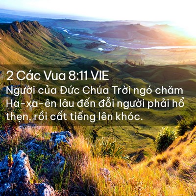 Picture 02 - 2 Các Vua 8:11 VIE - Người của Đức Chúa Trời ngó chăm - Bible Verse Picture