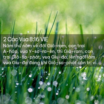 Picture 02 - 2 Các Vua 8:16 VIE - Năm thứ năm về đời Giô-ram, con trai - Bible Verse Picture