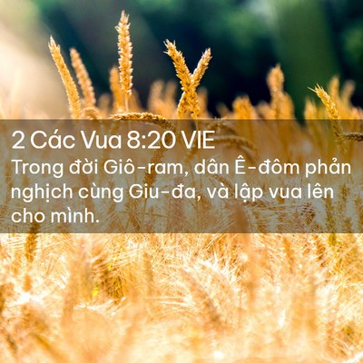 Picture 02 - 2 Các Vua 8:20 VIE - Trong đời Giô-ram, dân Ê-đôm phản - Bible Verse Picture
