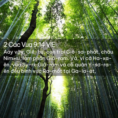 Picture 02 - 2 Các Vua 9:14 VIE - Aáy vậy, Giê-hu, con trai Giô-sa-phát, - Bible Verse Picture