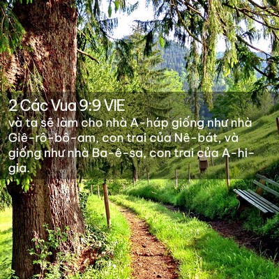 Picture 02 - 2 Các Vua 9:9 VIE - và ta sẽ làm cho nhà A-háp giống như - Bible Verse Picture