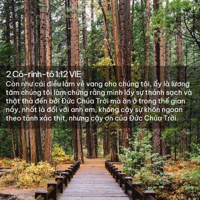 Picture 02 - 2 Cô-rinh-tô 1:12 VIE - Còn như cái điều làm vẻ vang cho chúng - Bible Verse Picture