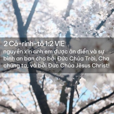 Picture 02 - 2 Cô-rinh-tô 1:2 VIE - nguyền xin anh em được ân điển và sự - Bible Verse Picture
