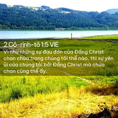 Picture 02 - 2 Cô-rinh-tô 1:5 VIE - Vì như những sự đau đớn của Đấng - Bible Verse Picture