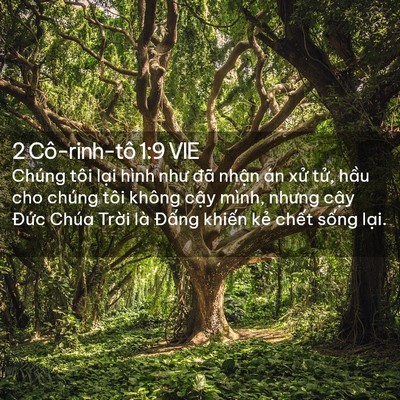 Picture 02 - 2 Cô-rinh-tô 1:9 VIE - Chúng tôi lại hình như đã nhận án xử - Bible Verse Picture
