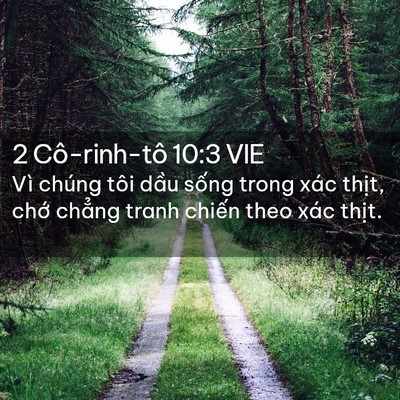 Picture 02 - 2 Cô-rinh-tô 10:3 VIE - Vì chúng tôi dầu sống trong xác thịt, - Bible Verse Picture