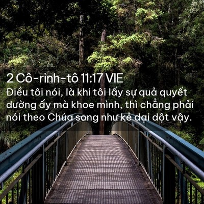 Picture 02 - 2 Cô-rinh-tô 11:17 VIE - Điều tôi nói, là khi tôi lấy sự quả - Bible Verse Picture