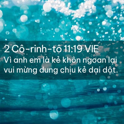 Picture 02 - 2 Cô-rinh-tô 11:19 VIE - Vì anh em là kẻ khôn ngoan lại vui mừng - Bible Verse Picture