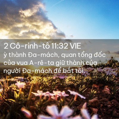 Picture 02 - 2 Cô-rinh-tô 11:32 VIE - ỳ thành Đa-mách, quan tổng đốc của - Bible Verse Picture