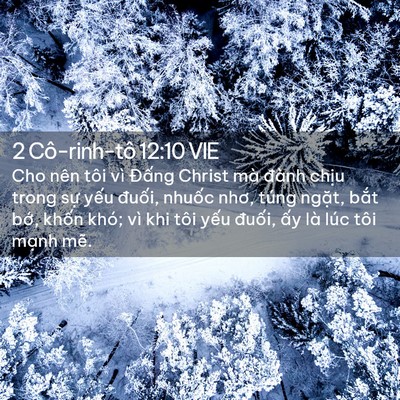 Picture 02 - 2 Cô-rinh-tô 12:10 VIE - Cho nên tôi vì Đấng Christ mà đành - Bible Verse Picture