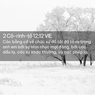 Picture 02 - 2 Cô-rinh-tô 12:12 VIE - Các bằng cớ về chức sứ đồ tôi đã - Bible Verse Picture