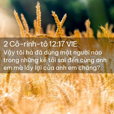 Picture 02 - 2 Cô-rinh-tô 12:17 VIE - Vậy tôi há đã dùng một người nào - Bible Verse Picture