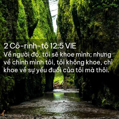 Picture 02 - 2 Cô-rinh-tô 12:5 VIE - Về người đó, tôi sẽ khoe mình; nhưng - Bible Verse Picture