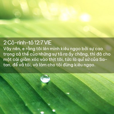 Picture 02 - 2 Cô-rinh-tô 12:7 VIE - Vậy nên, e rằng tôi lên mình kiêu ngạo - Bible Verse Picture