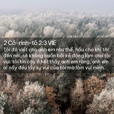 Picture 02 - 2 Cô-rinh-tô 2:3 VIE - Tôi đã viết cho anh em như thế, hầu cho - Bible Verse Picture