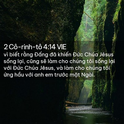 Picture 02 - 2 Cô-rinh-tô 4:14 VIE - vì biết rằng Đấng đã khiến Đức - Bible Verse Picture