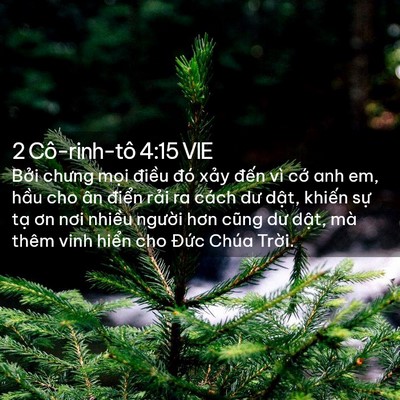 Picture 02 - 2 Cô-rinh-tô 4:15 VIE - Bởi chưng mọi điều đó xảy đến vì - Bible Verse Picture
