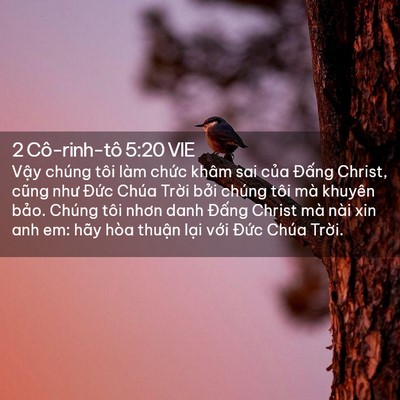 Picture 02 - 2 Cô-rinh-tô 5:20 VIE - Vậy chúng tôi làm chức khâm sai của - Bible Verse Picture
