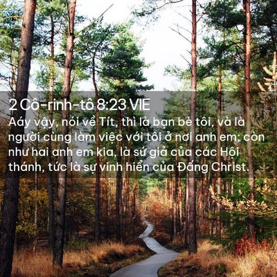 Picture 02 - 2 Cô-rinh-tô 8:23 VIE - Aáy vậy, nói về Tít, thì là bạn bè - Bible Verse Picture