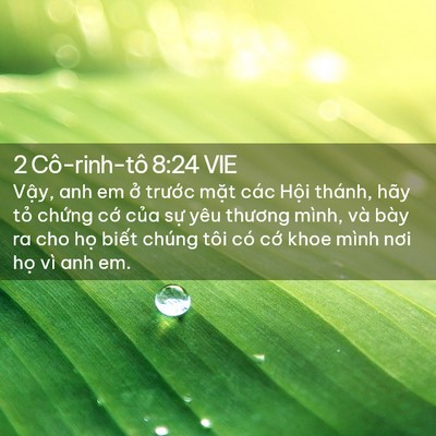 Picture 02 - 2 Cô-rinh-tô 8:24 VIE - Vậy, anh em ở trước mặt các Hội - Bible Verse Picture